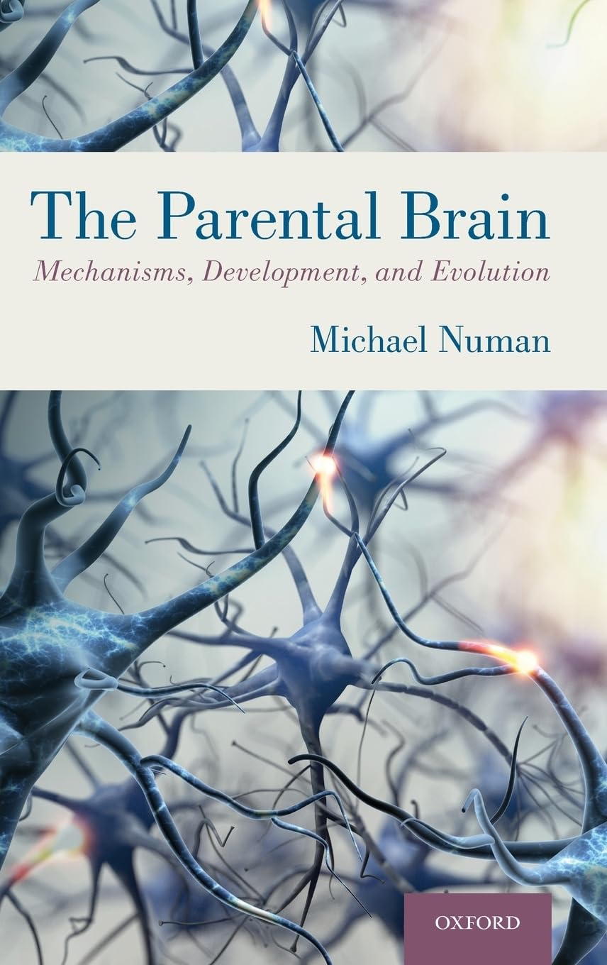 裁断済 The Parental Brain Michael Numan The Parental Brain: Mechanisms, Development, and Evolution: Numan